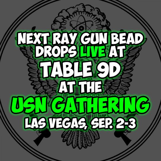 Ray Gun Division at the USN Gathering!