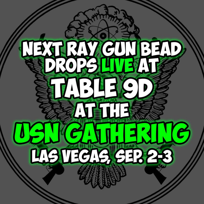 Ray Gun Division at the USN Gathering!